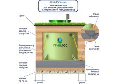 ГРИНЛОС Аква 6 