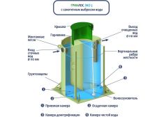 ГРИНЛОС Эко 5